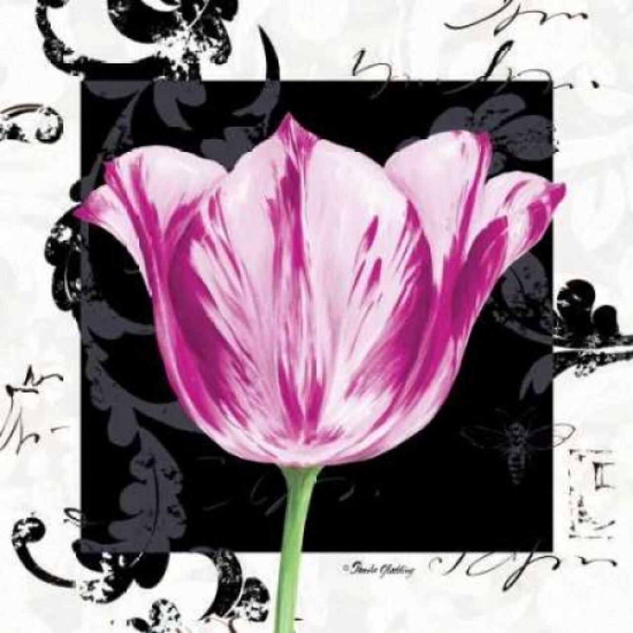 Damask Tulip I Poster Print by Pamela Gladding - Item # VARPDXGLA482